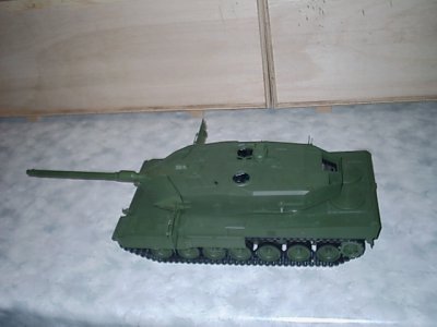 leopard5.jpg